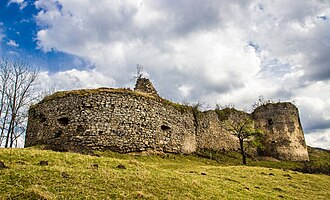 Bologa Castle