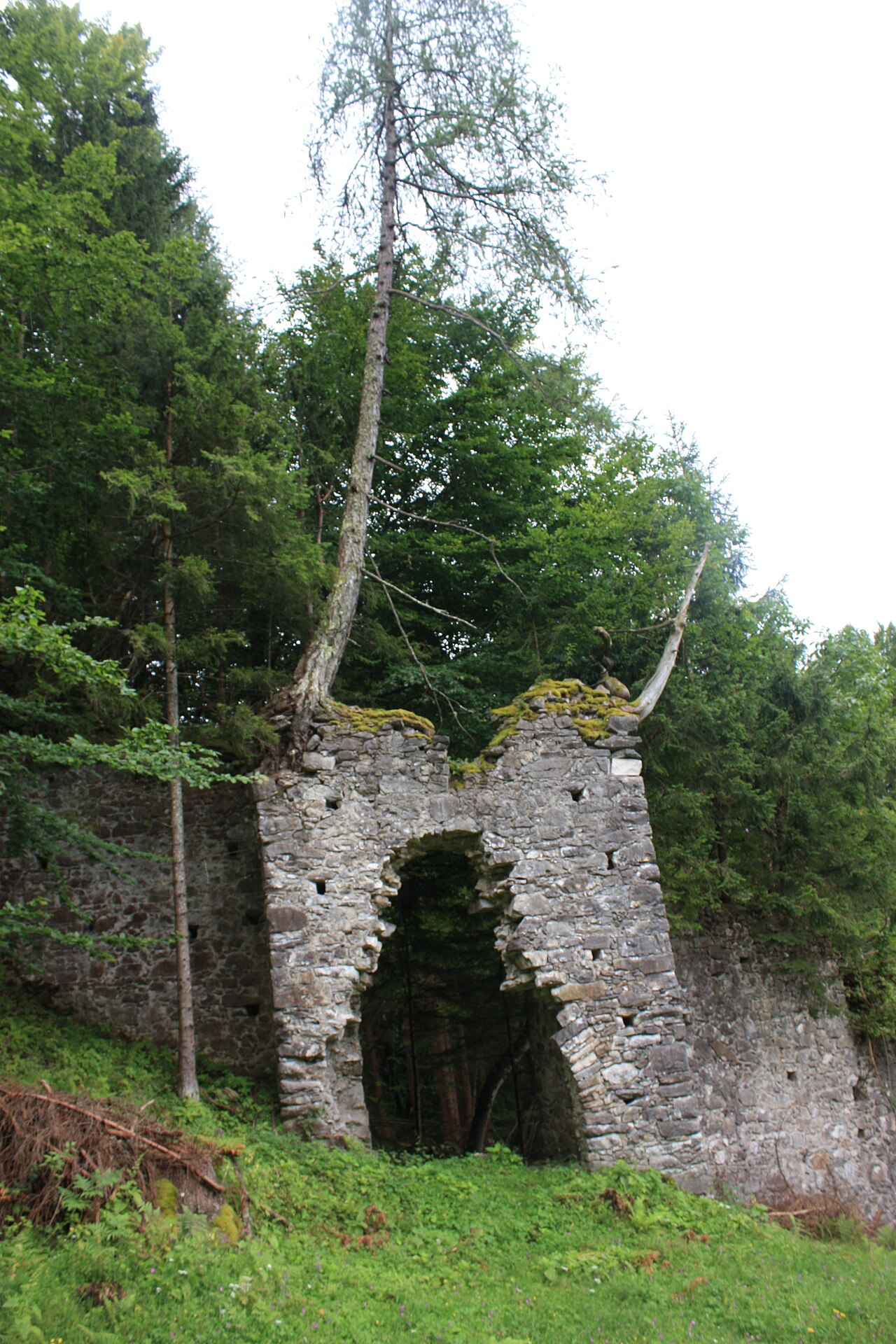 Burgruine Treffen in Oostenrijk