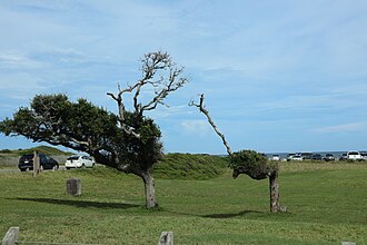 Fort Fisher