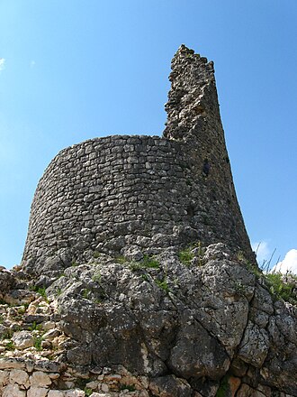 Nutjak
