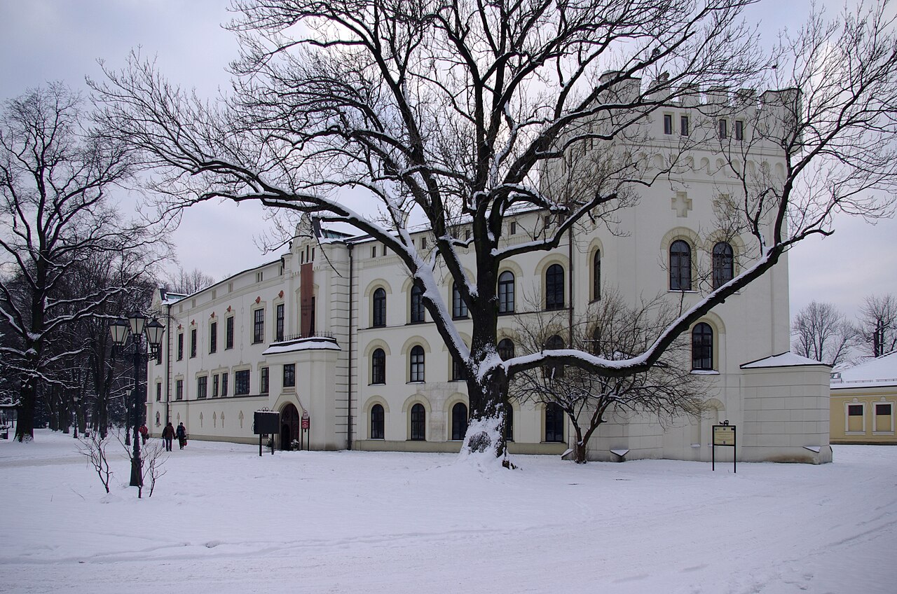 Altes Schloss (Żywiec) in Polen